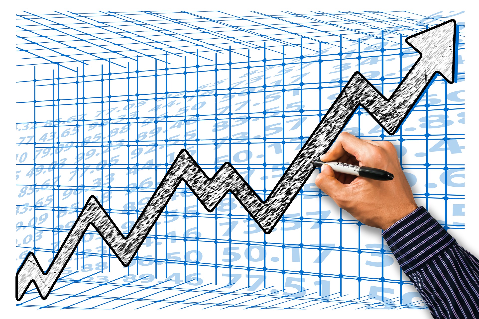 sales growth